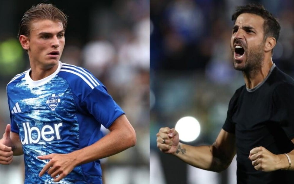 布局和结果 布局和结果