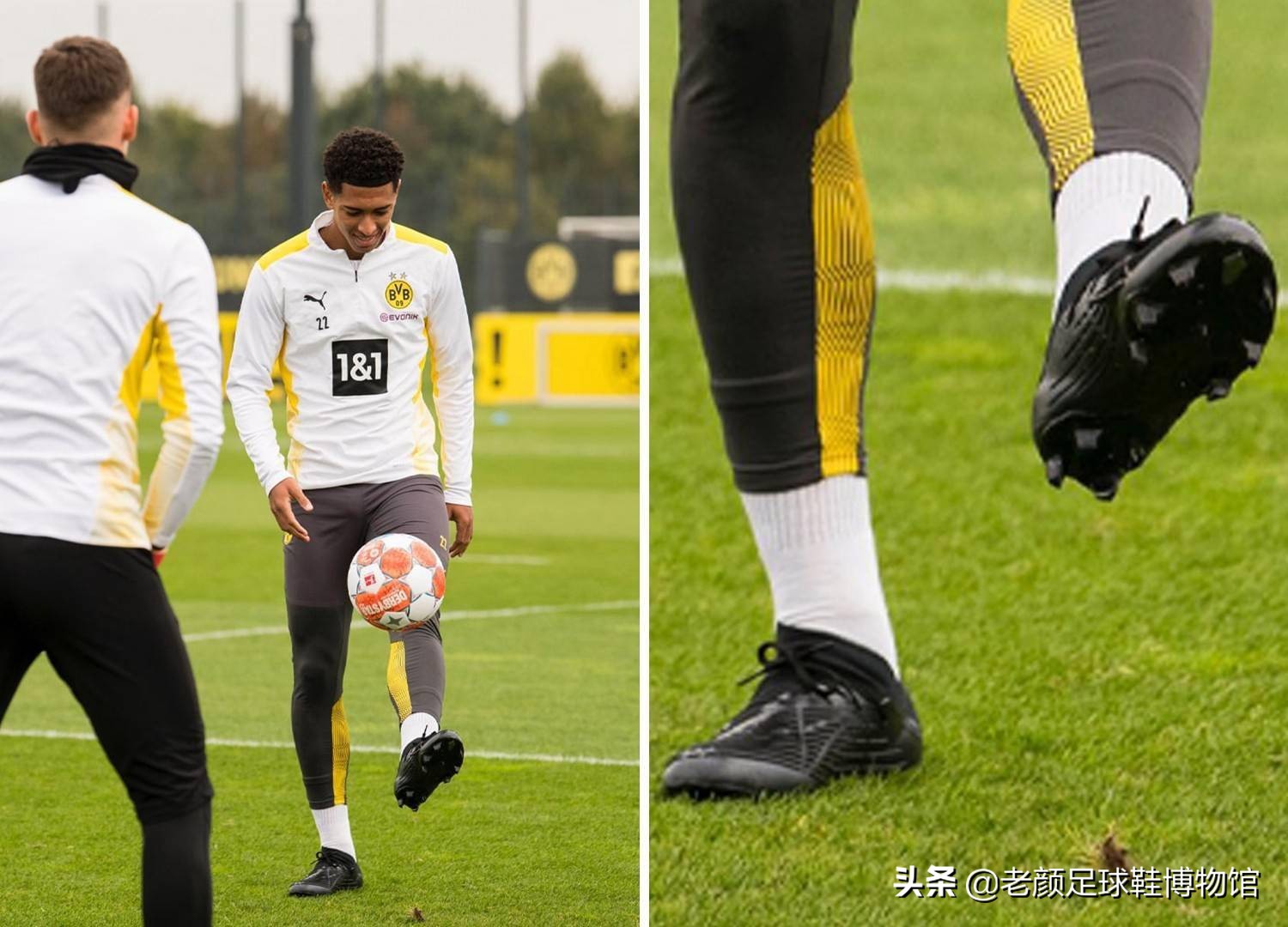 骑士的节奏 骑士的节奏