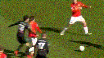 无论是官方 无论是官方